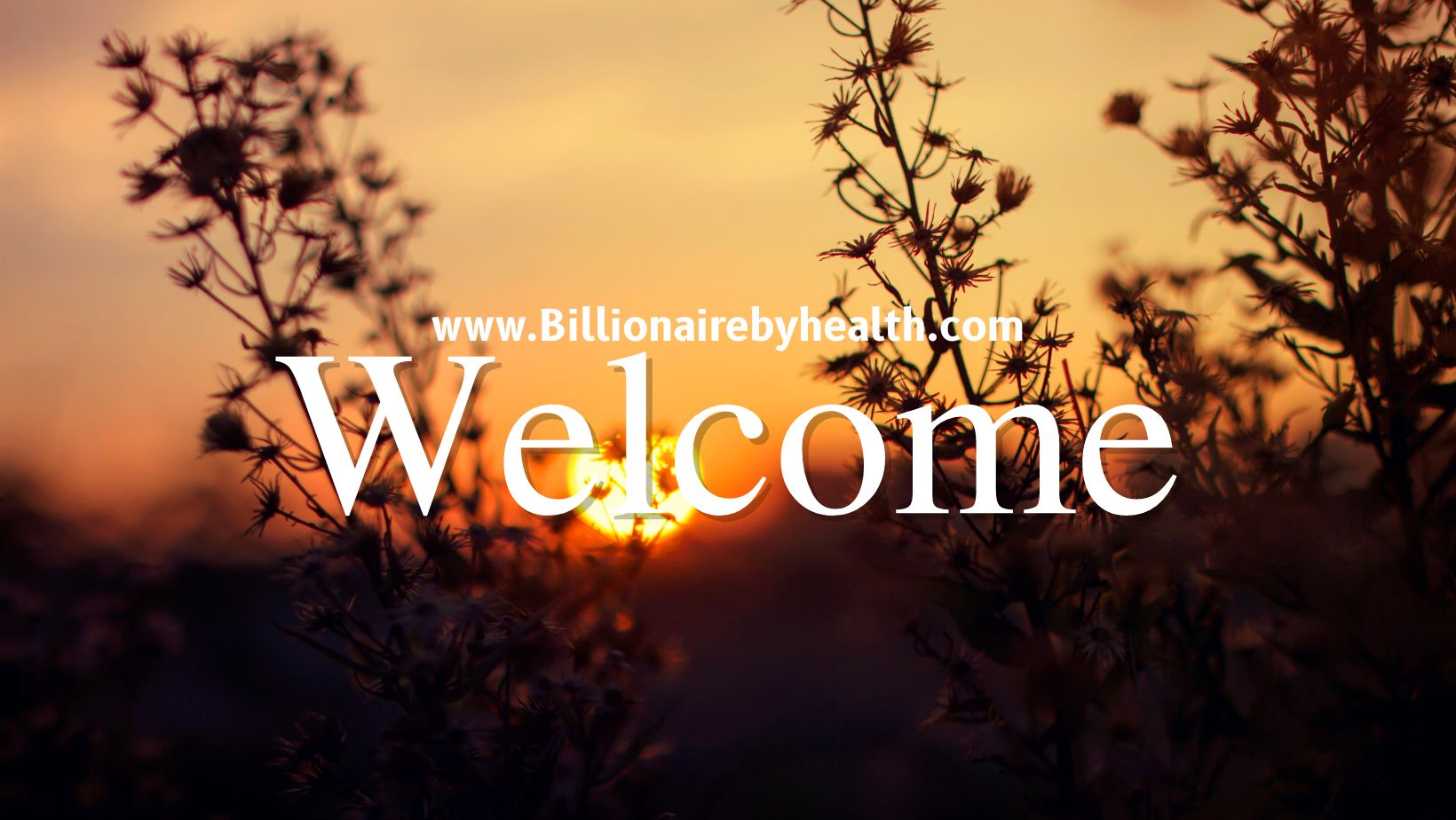 Welcome